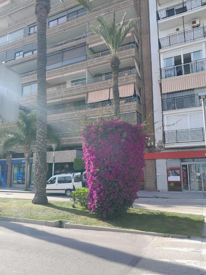 Stylowy Apartament Harmonia Playa Del Cura, Hiszpania Torrevieja Exterior foto